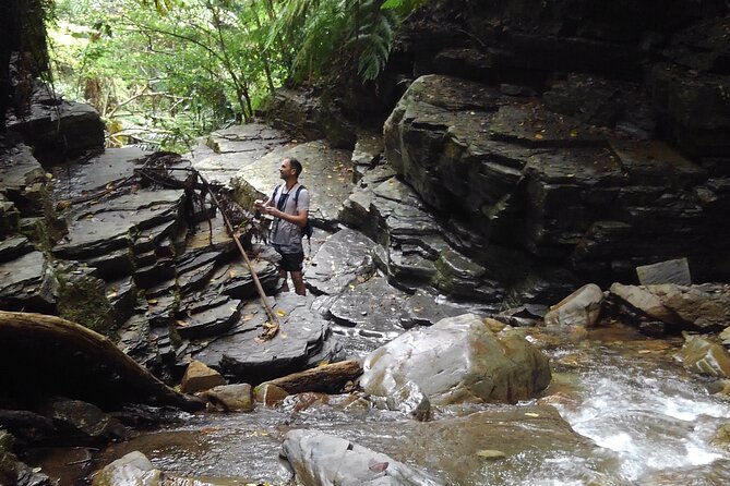 Okinawa Jungle Trails & Waterfalls – Private Yanbaru Tour - Key highlights worth planning for