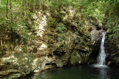 Okinawa Jungle Trails & Waterfalls – Private Yanbaru Tour - Meeting in Nago and what to expect from the schedule