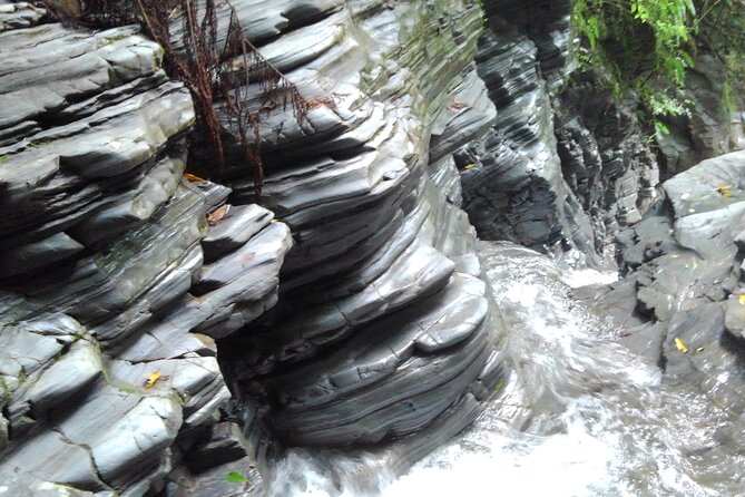 Okinawa Jungle Trails & Waterfalls – Private Yanbaru Tour - Stop 1 in Yanbaru: the jungle river build-up