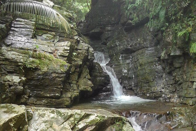Okinawa Jungle Trails & Waterfalls – Private Yanbaru Tour - Stop 2 at the waterfall: summer-only swim and real cooling off