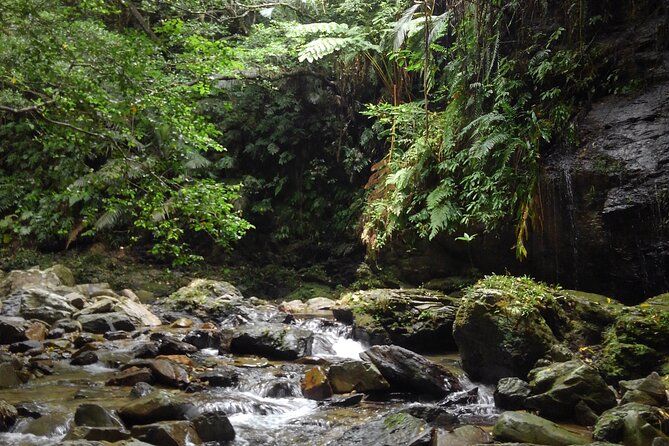 Okinawa Jungle Trails & Waterfalls – Private Yanbaru Tour - What to bring so you’re comfortable (and not annoyed)