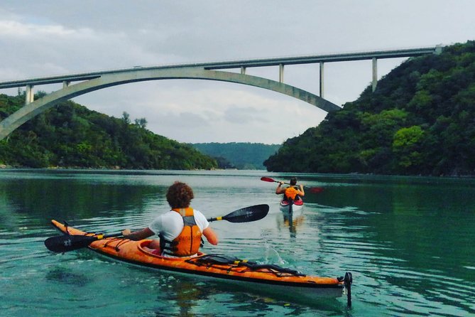 Okinawa: Kayak Mangroves & Ocean Native-English Private Tour - Key Things I’d Book This For