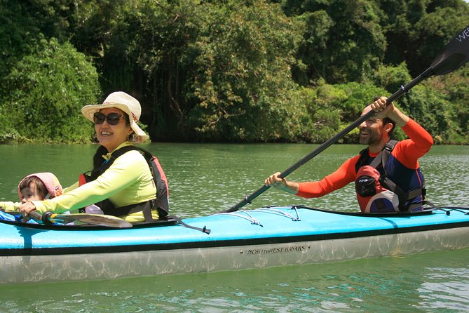 Okinawa: Kayak Mangroves & Ocean Native-English Private Tour - Kayaking North Okinawa Without the Land Traffic