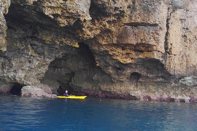 Okinawa: Kayak Mangroves & Ocean Native-English Private Tour - Yagaji Island Paddling: Calm Water, Then Choose Your Comfort