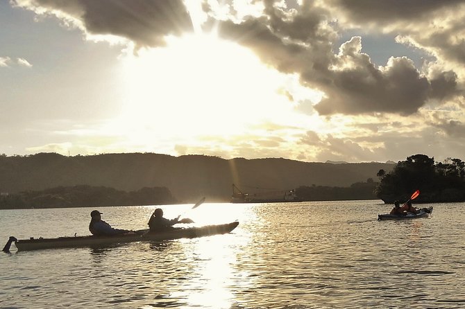 Okinawa: Kayak Mangroves & Ocean Native-English Private Tour - Warumi Ohashi Return Options: Bridges, Sea Valleys, and One-Way Choices
