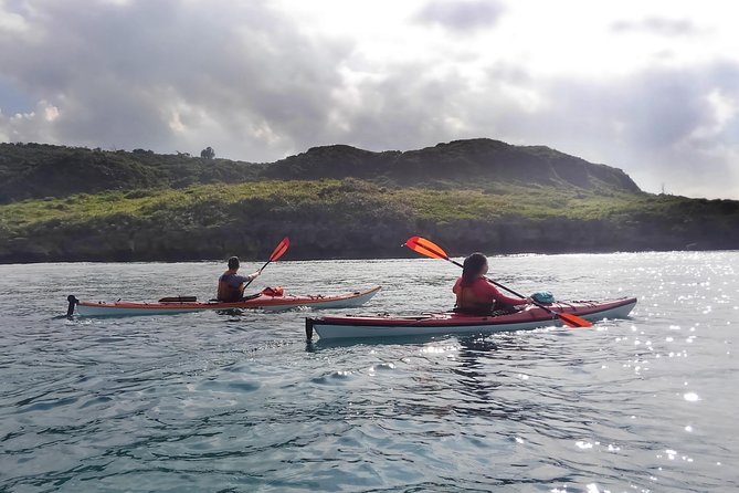 Okinawa: Kayak Mangroves & Ocean Native-English Private Tour - Nakijin-son Coastline: Coral Reef Passing and Golden Sand Time