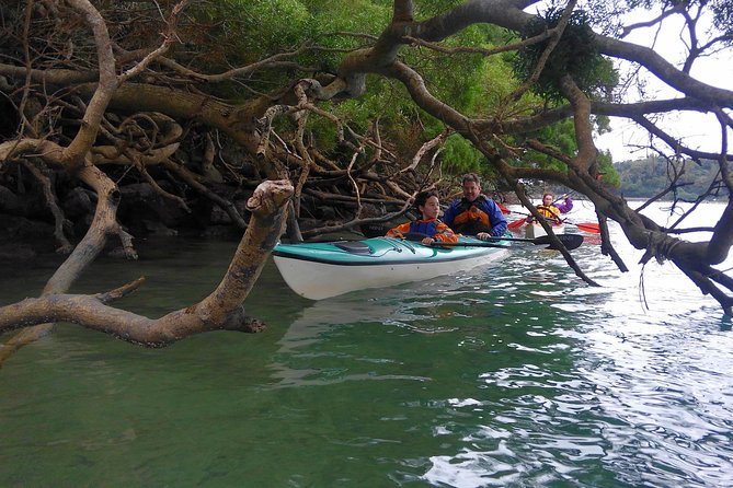 Okinawa: Kayak Mangroves & Ocean Native-English Private Tour - Your Guide Nik: The Kind of Communication You Actually Appreciate