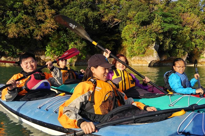 Okinawa: Kayak Mangroves & Ocean Native-English Private Tour - Price and Value: What $79.26 Buys You