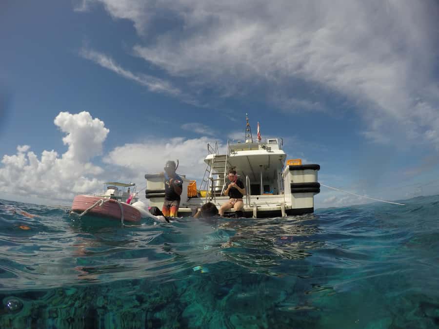 Okinawa : Kerama Whole Day Snorkeling Tour From Chatan/Naha - The day on the water: an anchored-boat snorkeling loop