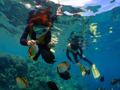 Okinawa : Kerama Whole Day Snorkeling Tour From Chatan/Naha - Where you start: Chatan vs. Naha (and the small fee detail)