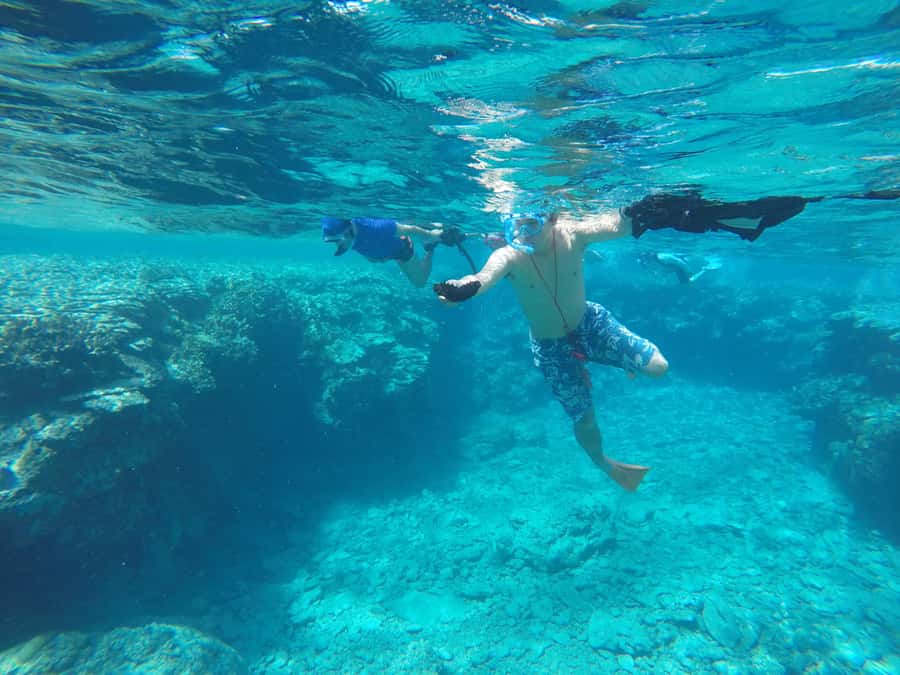 Okinawa : Kerama Whole Day Snorkeling Tour From Chatan/Naha - What you’ll see: corals, fish, and turtles (the good news: it’s real)