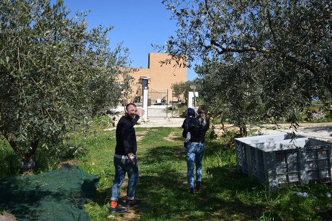 Olive Oil Experience - The guided EVOO tasting: what to look for on the bottle