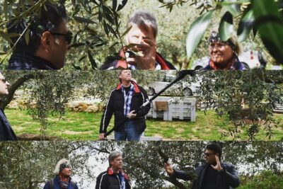 Olive Oil Experience - The 1968 farmhouse setup and the view you’ll remember