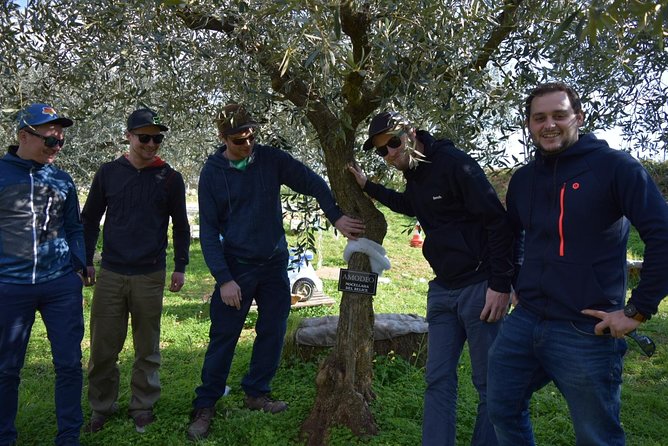 Olive Oil Experience - Snacks and starters: where the flavors really start to pop