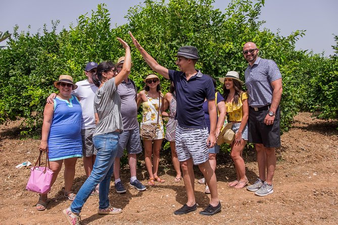 Olive oil tasting in Syracuse, Sicily - Evoo Tour - Pairings that make sense: bread and Sicilian seasonal bites