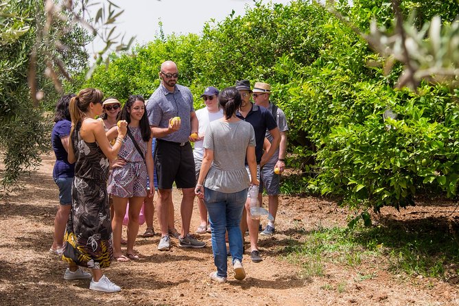 Olive oil tasting in Syracuse, Sicily - Evoo Tour - Price and value: what you’re actually paying for