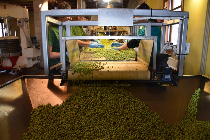 Olive Oil Tasting Tour - Where Koronekes Olive Mill fits in your Cretan day
