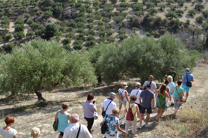 Olive Oil Tasting Tour - How tasting instruction actually helps (instead of just dumping samples)