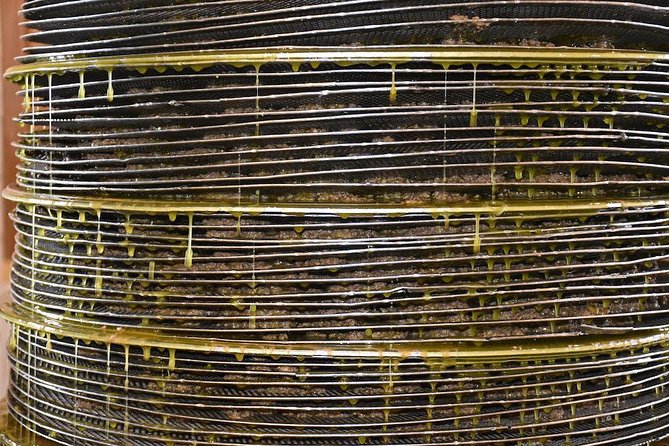 Olive Oil Tasting Tour - Finding your way: Koronekes meeting point and what to expect