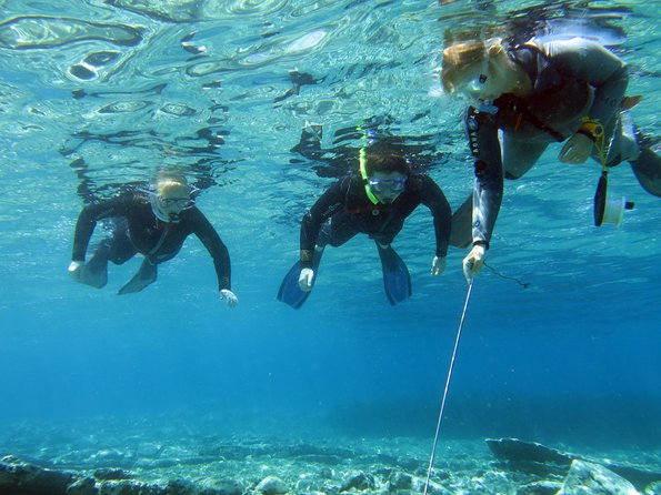 Olous – Guided Snorkelling Excursion to Discover Olous Sunken Ancient City - Key highlights worth planning for