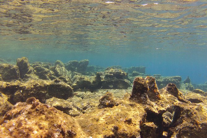 Olous – Guided Snorkelling Excursion to Discover Olous Sunken Ancient City - Your guide matters: patient coaching with real confidence