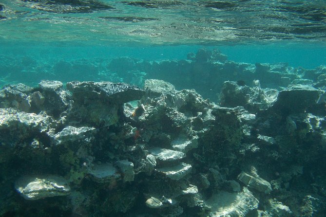 Olous – Guided Snorkelling Excursion to Discover Olous Sunken Ancient City - Price and value: is $66.08 worth it?