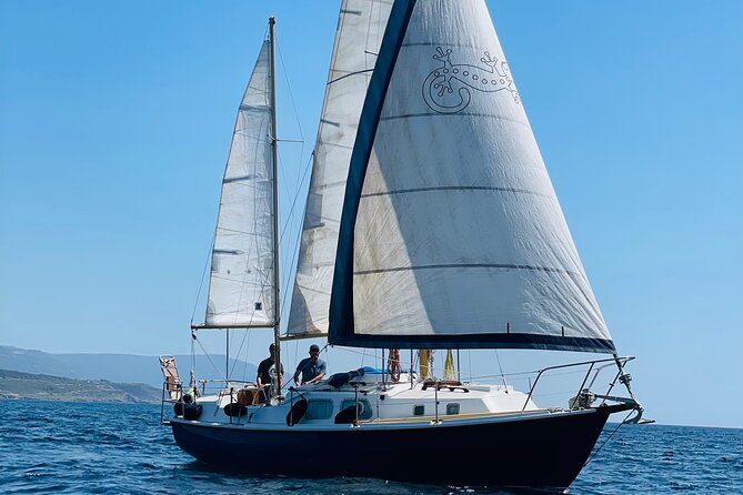 One day excursion on a sailing boat in the Gulf of Alghero - Key highlights at a glance