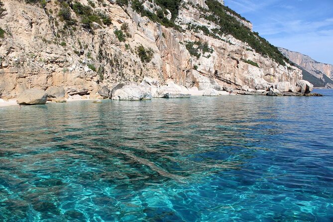 One day tour in rubber dinghy in the Gulf of Orosei with Skipper - Grotta del Fico and the Cala Biriola alternative (optional)