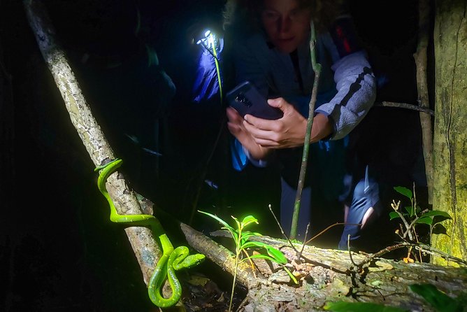 Package | Monteverde Cloud Forest + Curi-Cancha Reserve + Night Hike (Private) - Why This Private Monteverde Day Actually Fits One Day