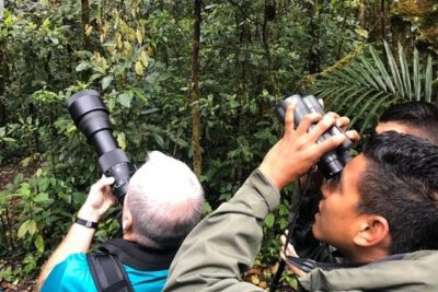 Package | Monteverde Cloud Forest + Curi-Cancha Reserve + Night Hike (Private) - Stop 1: Monteverde Cloud Forest Reserve and the Quetzal Probability Game