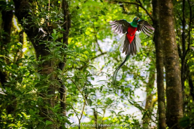 Package | Monteverde Cloud Forest + Curi-Cancha Reserve + Night Hike (Private) - Price and Value: Is This $80 Monteverde Day Worth It?