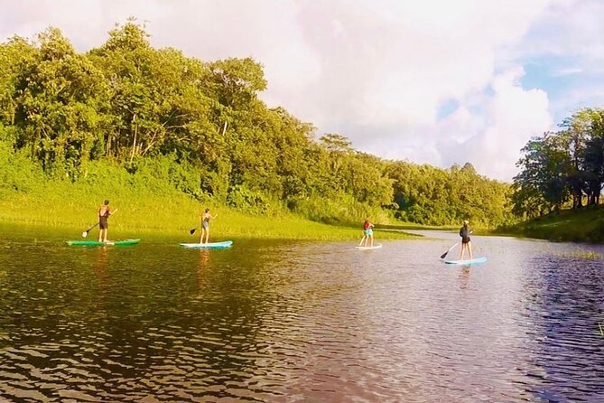 Paddle Board Private Tour Nuevo Arenal, Lake Arenal - The guided route: paddling Lake Arenal in safer, calmer zones