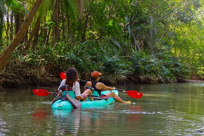 Paddle Through Paradise: Mangrove Kayak Adventure - Key Highlights You’ll Care About