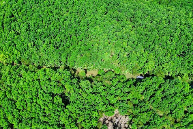 Paddle Through Paradise: Mangrove Kayak Adventure - Quepos Mangroves by Kayak: What Makes This Feel Different