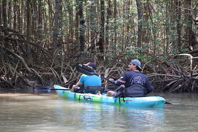 Paddle Through Paradise: Mangrove Kayak Adventure - Guides You Can Actually Follow: Memo, Jayson, and Felipe