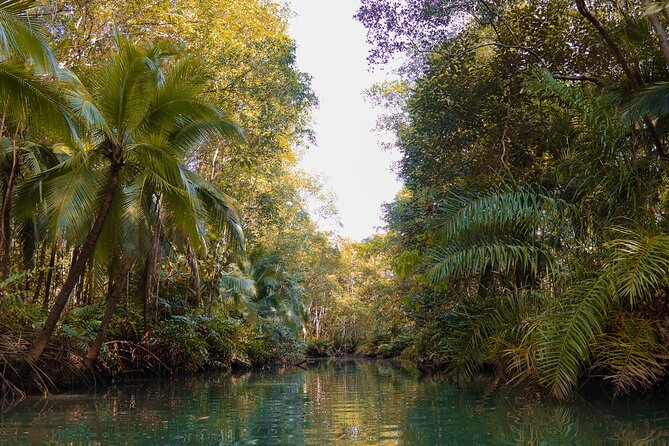 Paddle Through Paradise: Mangrove Kayak Adventure - My Take: Should You Book Paddle Through Paradise?