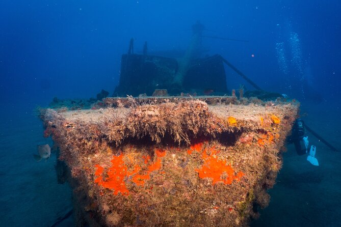 PADI Open Water course in Playa de las Americas - Meeting point and pickup: where your day starts