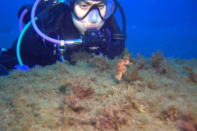 PADI Open Water Diver Course (OWD) - 2.5 days - Who should take this course, and who should think twice