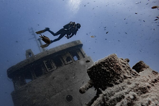 PADI Scuba Diving Courses in Tenerife: All Specialities Until Divemaster - Who This Suits Best (and Who Should Think Twice)