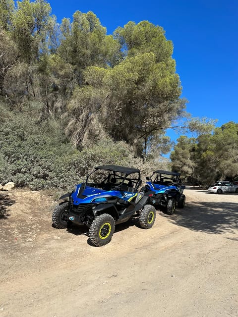 Paguera: 2 Hour Buggy Tour - Key things you’ll like on this Paguera buggy tour