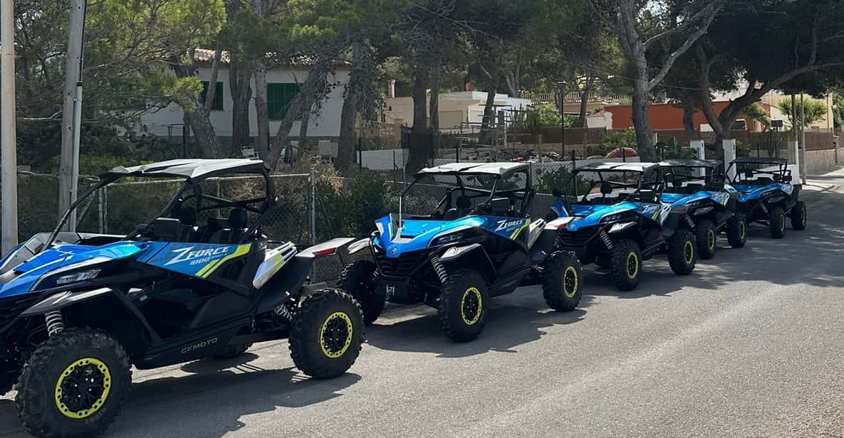 Paguera: 2 Hour Buggy Tour - Cruising the Calvià coastline: adrenaline without making it too extreme