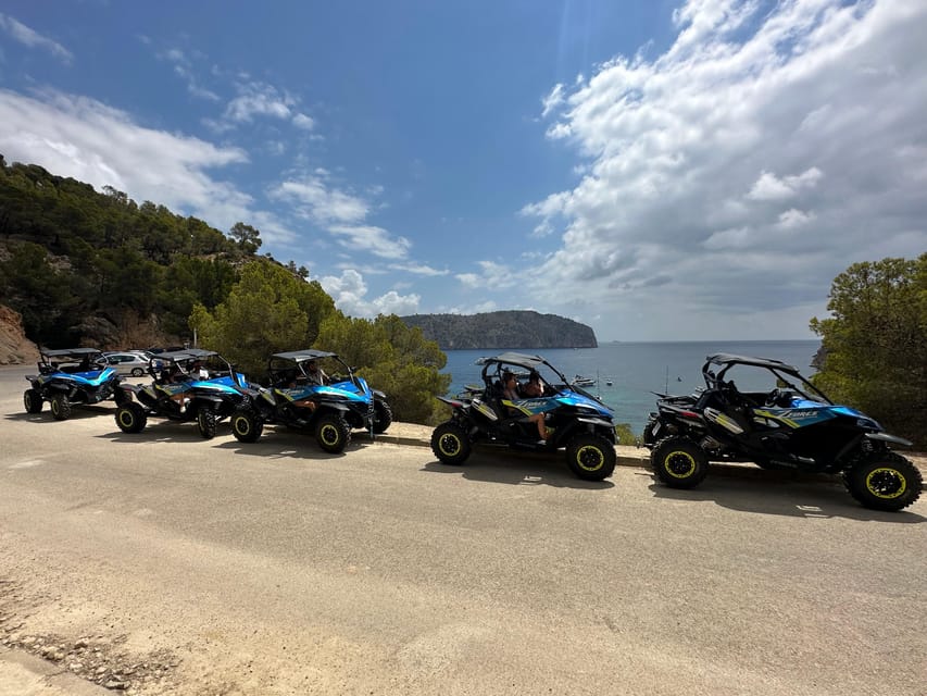 Paguera: 2 Hour Buggy Tour - The return via Camp de Mar: golf fields and last scenery pass