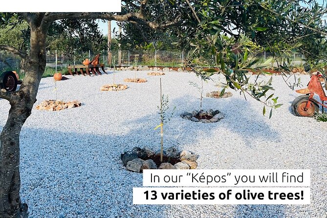 Pallada Semi-Private Olive Oil Tours in Sternes, Chania - Where Pallada Kèpos Fits Into the Big Olive Story