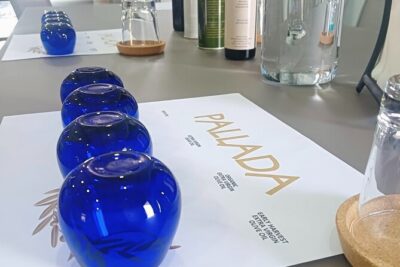 Pallada Semi-Private Olive Oil Tours in Sternes, Chania - The Olive Mill Visit: Seeing How Extra Virgin Actually Happens