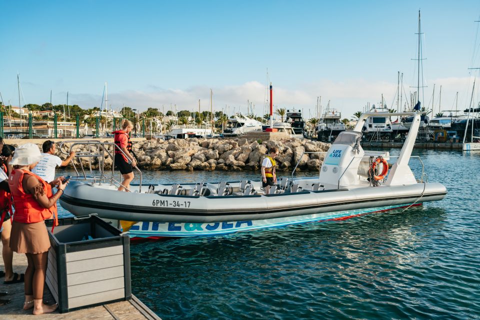 Palma Bay: 1-Hour Speedboat Adventure - Who should book this Palma Bay speedboat, and who should skip it