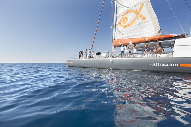 Palma Bay Catamaran Half-Day Cruise - The route: Las Golondrinas, Auditorium de Palma, Cathedral, and Cala Vella