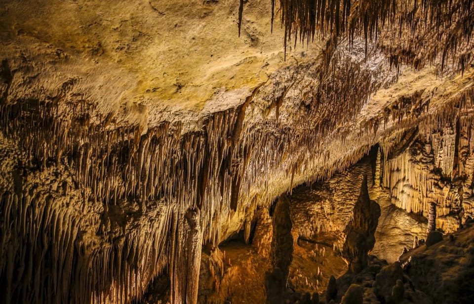Palma: Caves of Drach Entrance, Music Concert, and Boat Trip - Key takeaways before you go