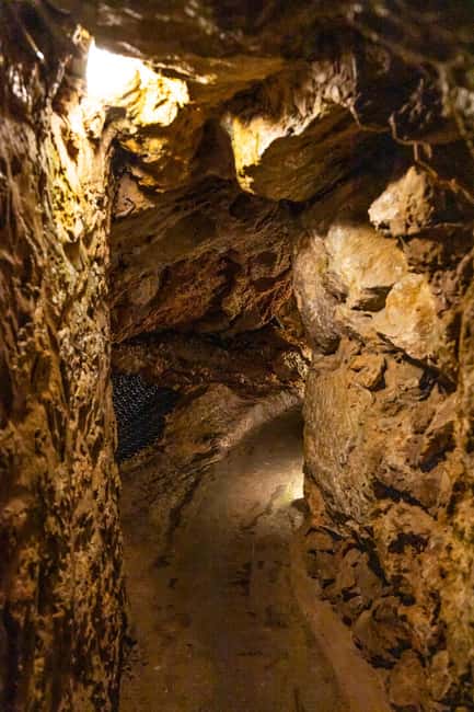 Palma: Caves of Genova Ticket & Digital Informational Video - Key highlights worth your time