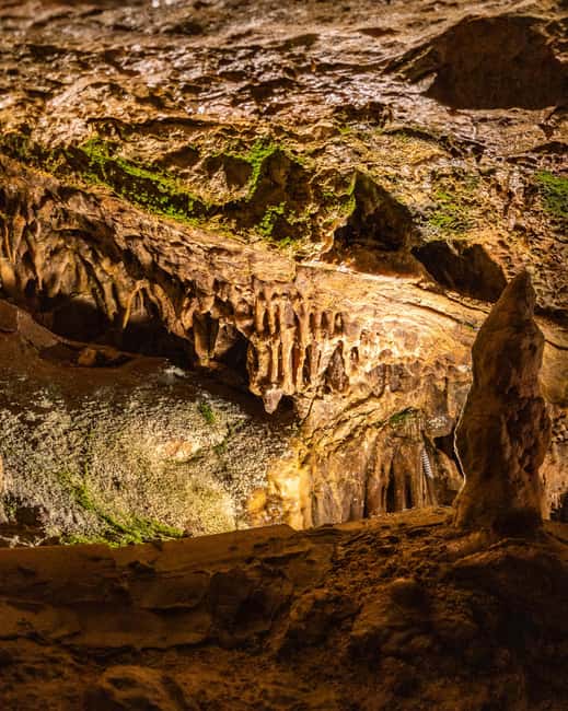 Palma: Caves of Genova Ticket & Digital Informational Video - Caves of Genova in Palma: what you’re actually paying for