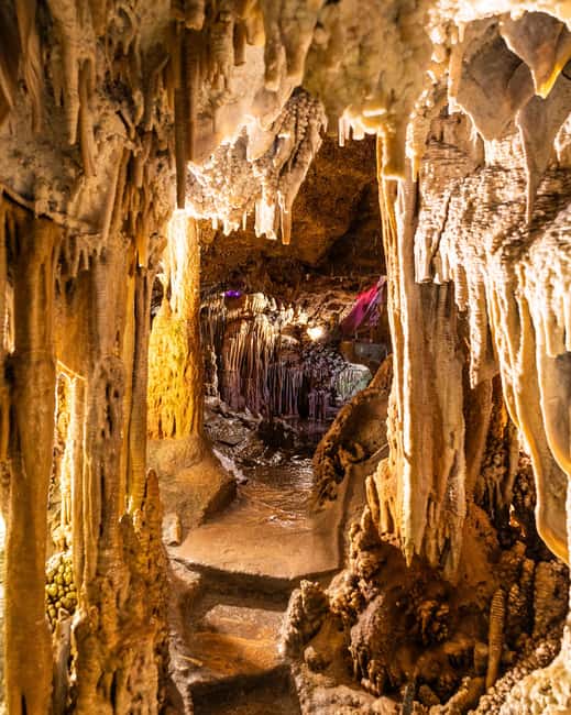 Palma: Caves of Genova Ticket & Digital Informational Video - Getting there from Palma: quick ride, easy stop